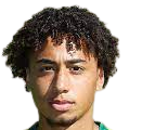 https://img.lantingzhuangshi.com/img/football/player/347a6d58ae7ec0425a4d42bc9215c411.png