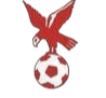 https://img.lantingzhuangshi.com/img/football/team/4802d26df935b78bb2fcdbbff36e8864.png